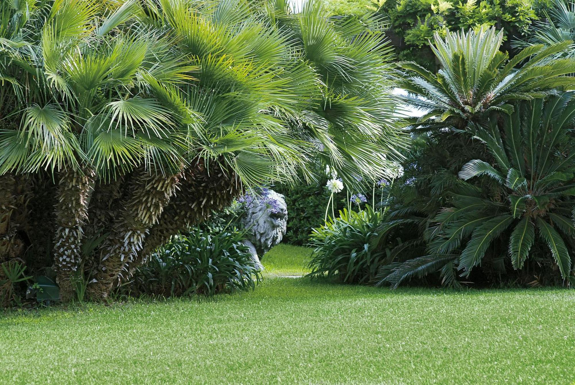 Grand Hotel Del Mare Resort & Spa Bordighera Exterior photo